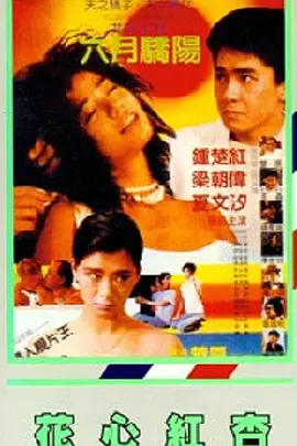 姨妈和单身汉