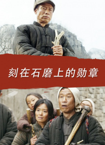 国内精品久久久久久久星辰影视