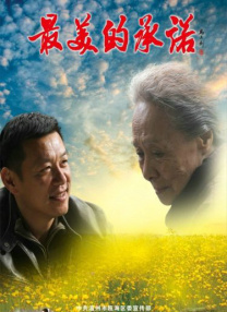成年人在线播放视频