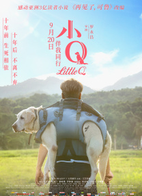 欧美一级大黄特黄毛片视频