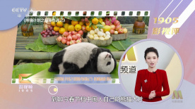 精品一区二区三区免费站